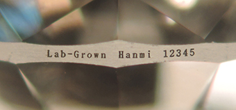 DSCN40161.jpg