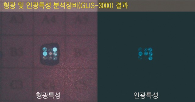 sjc분석사진2.jpg