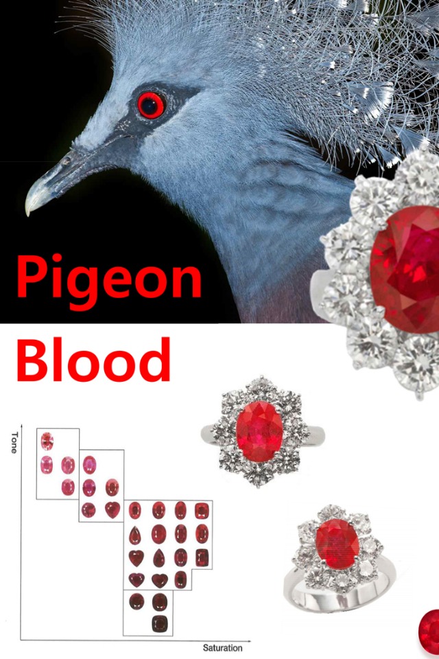 pigeon blood.jpg