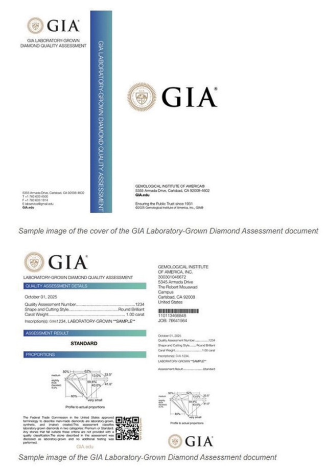 gia 랩감정476.jpg